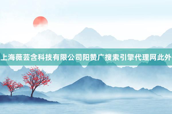 上海薇芸含科技有限公司阳赞广搜索引擎代理网此外
